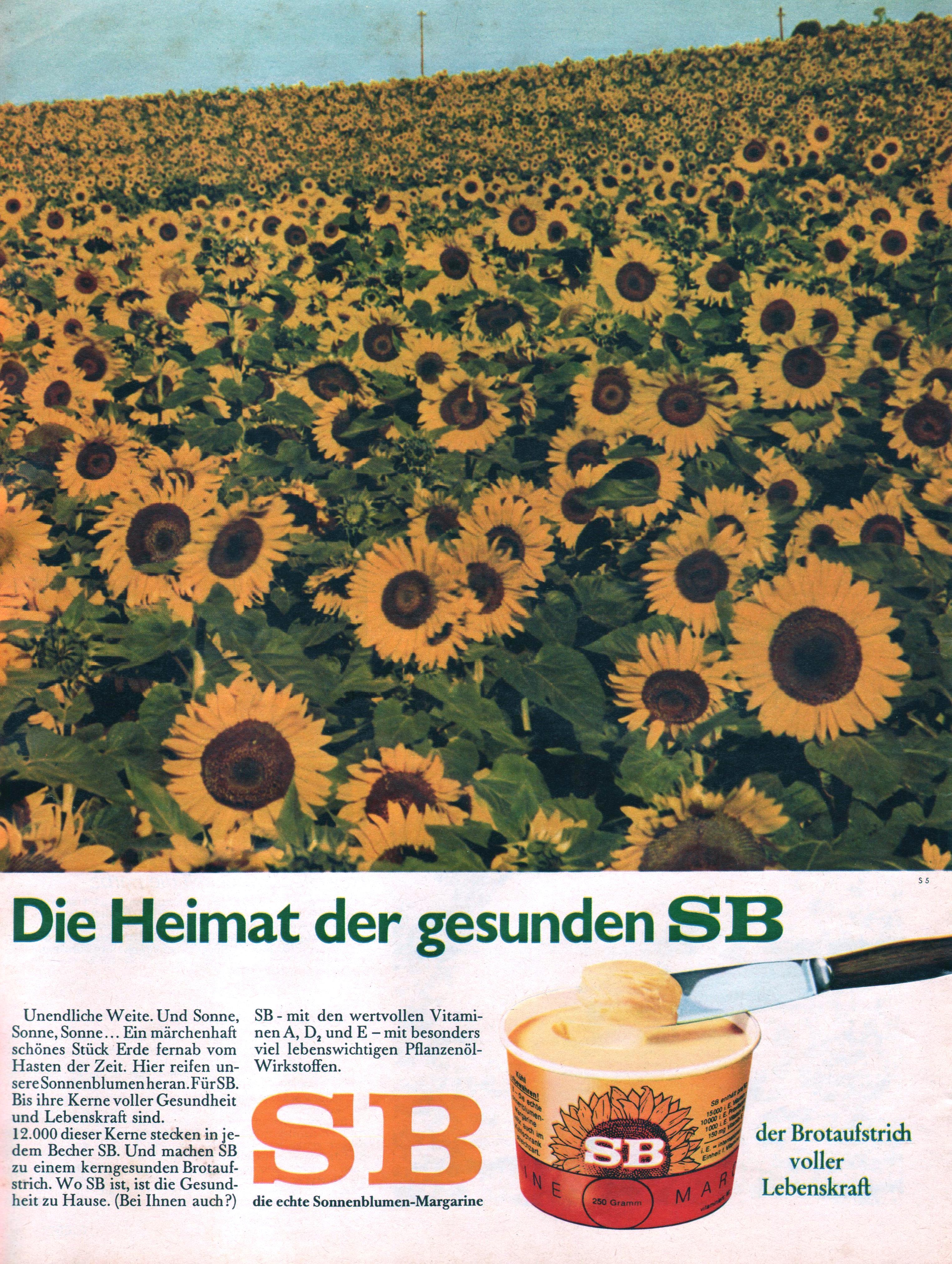 SB 1969 0.jpg